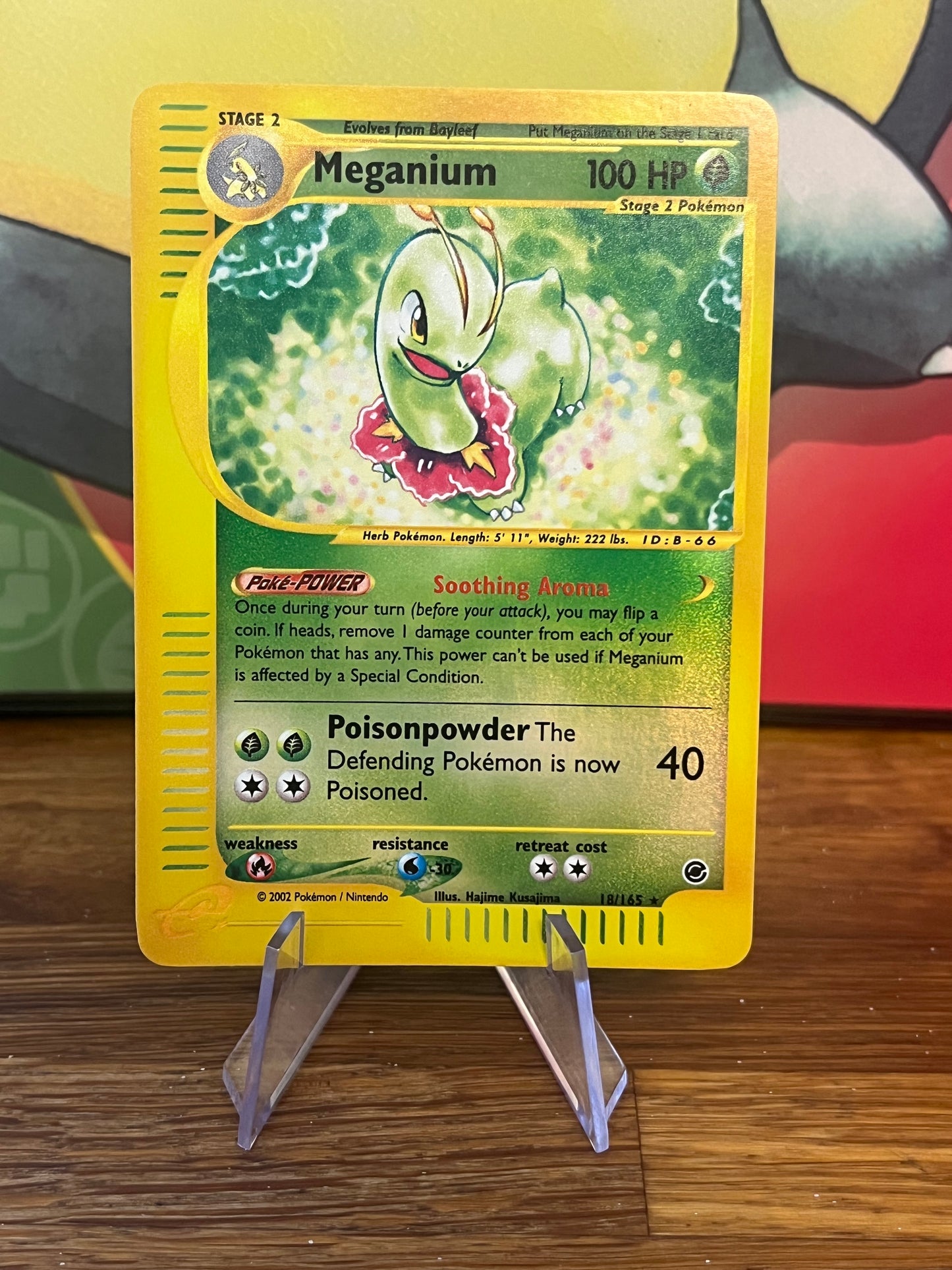 Meganium Reverse Holo 18/165 Expedition NM Single Pokemon Card