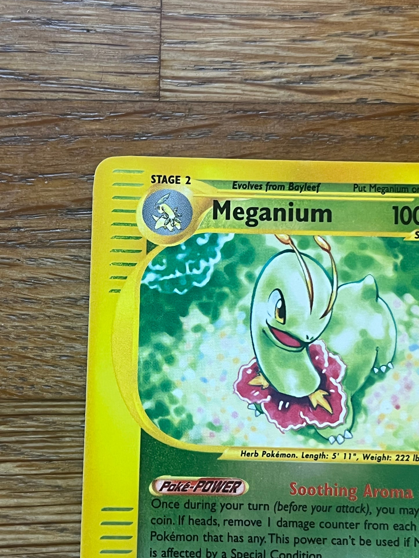 Meganium Reverse Holo 18/165 Expedition NM Single Pokemon Card
