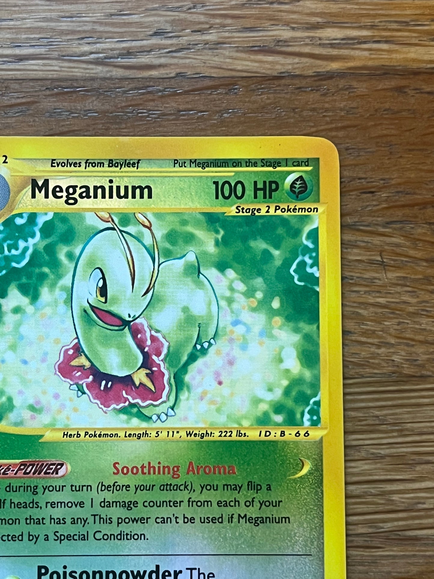 Meganium Reverse Holo 18/165 Expedition NM Single Pokemon Card