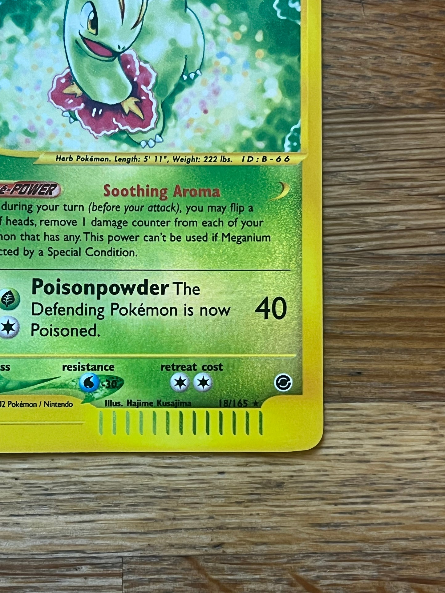 Meganium Reverse Holo 18/165 Expedition NM Single Pokemon Card