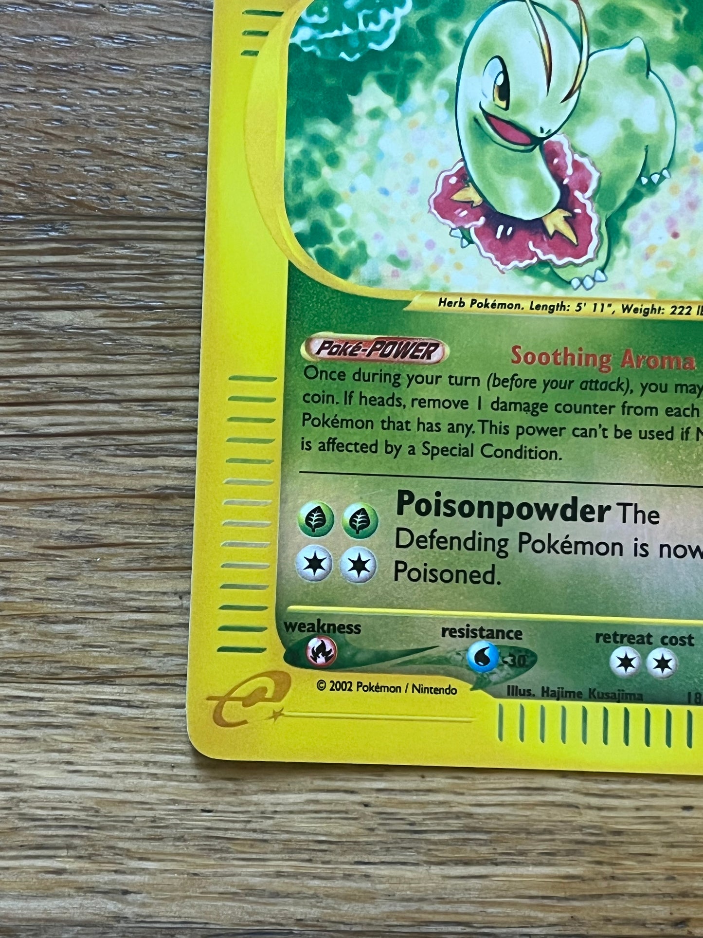 Meganium Reverse Holo 18/165 Expedition NM Single Pokemon Card