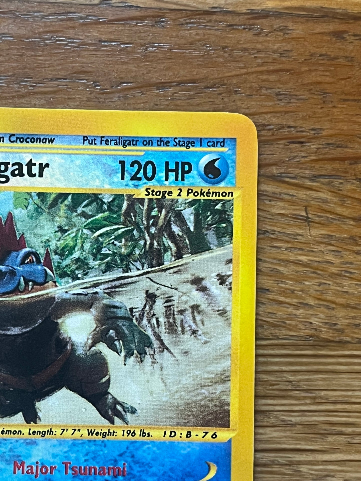 Feraligatr Reverse Holo 12/165 Expedition NM Single Pokemon Card