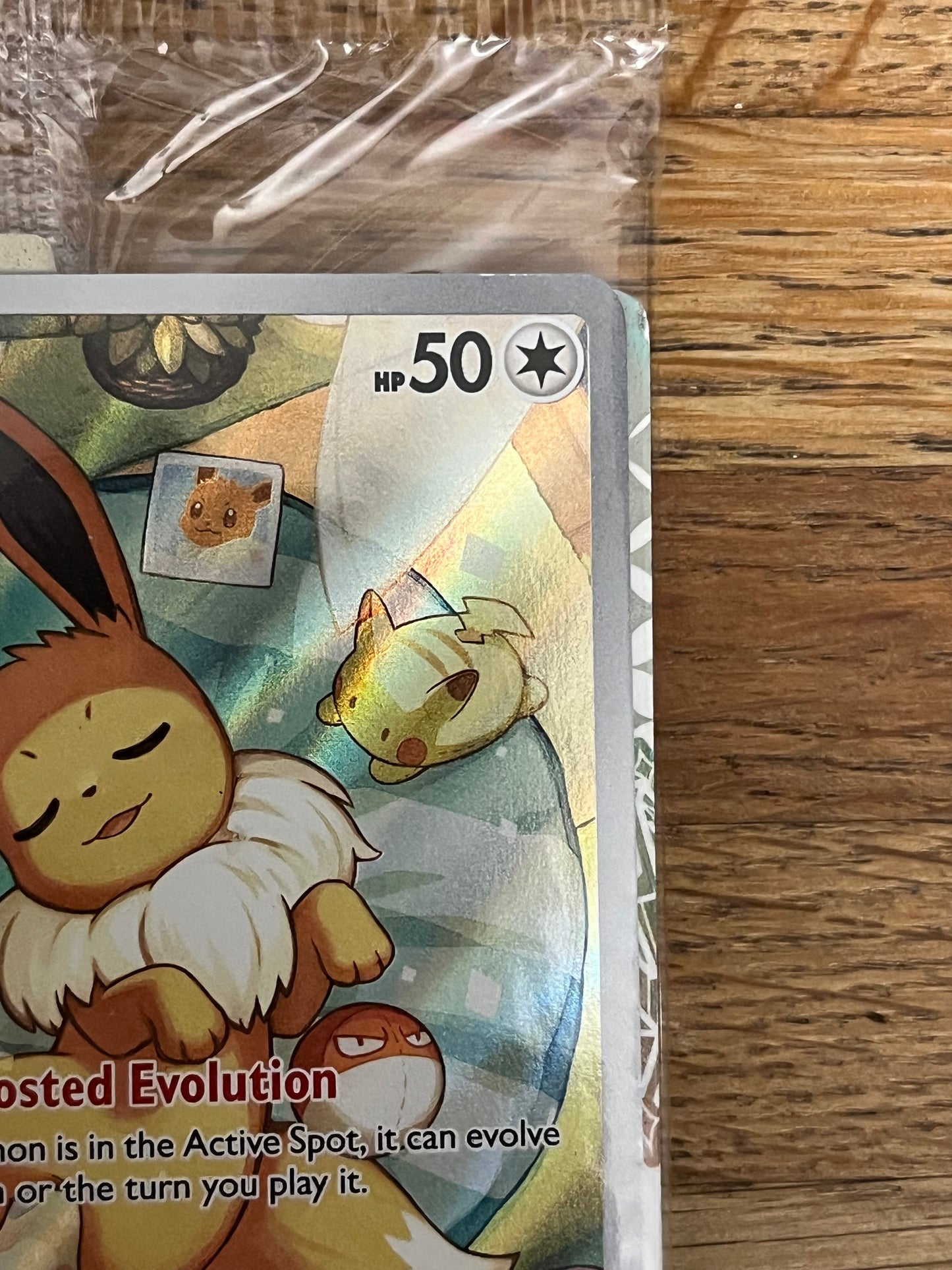 Eevee 173 Black Star Promo Sealed NM Single Pokémon Card