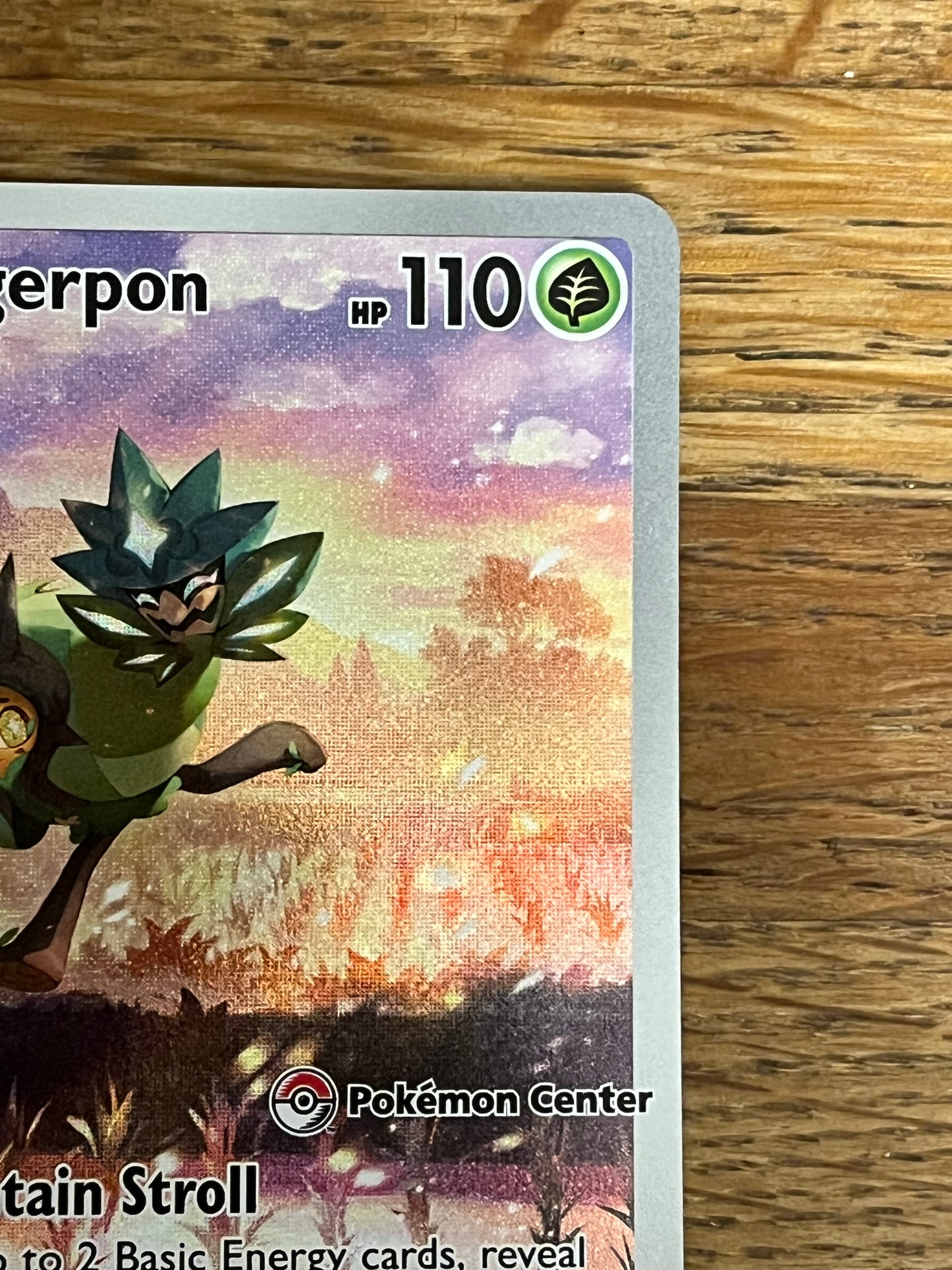 Teal Mask Ogerpon 123 Black Star Promo Pokémon Center NM Single Pokémon Card
