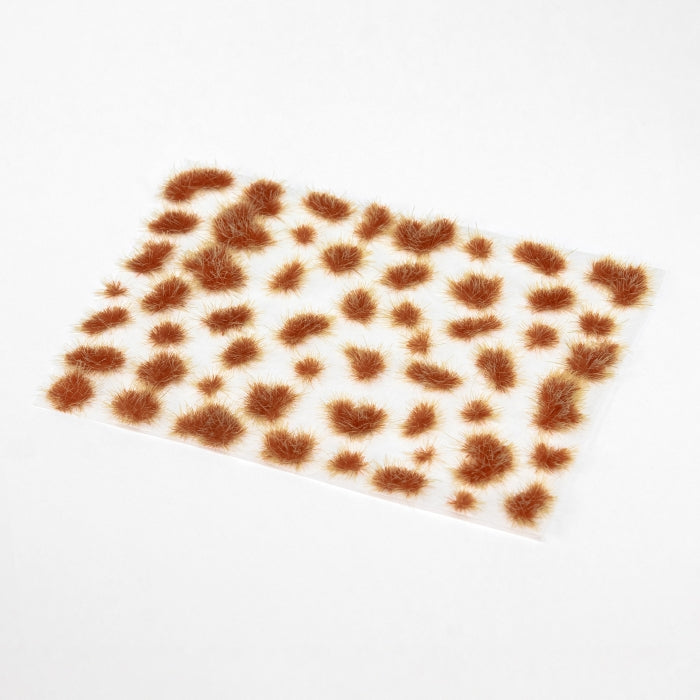 Sunset Bonfire – Tufts