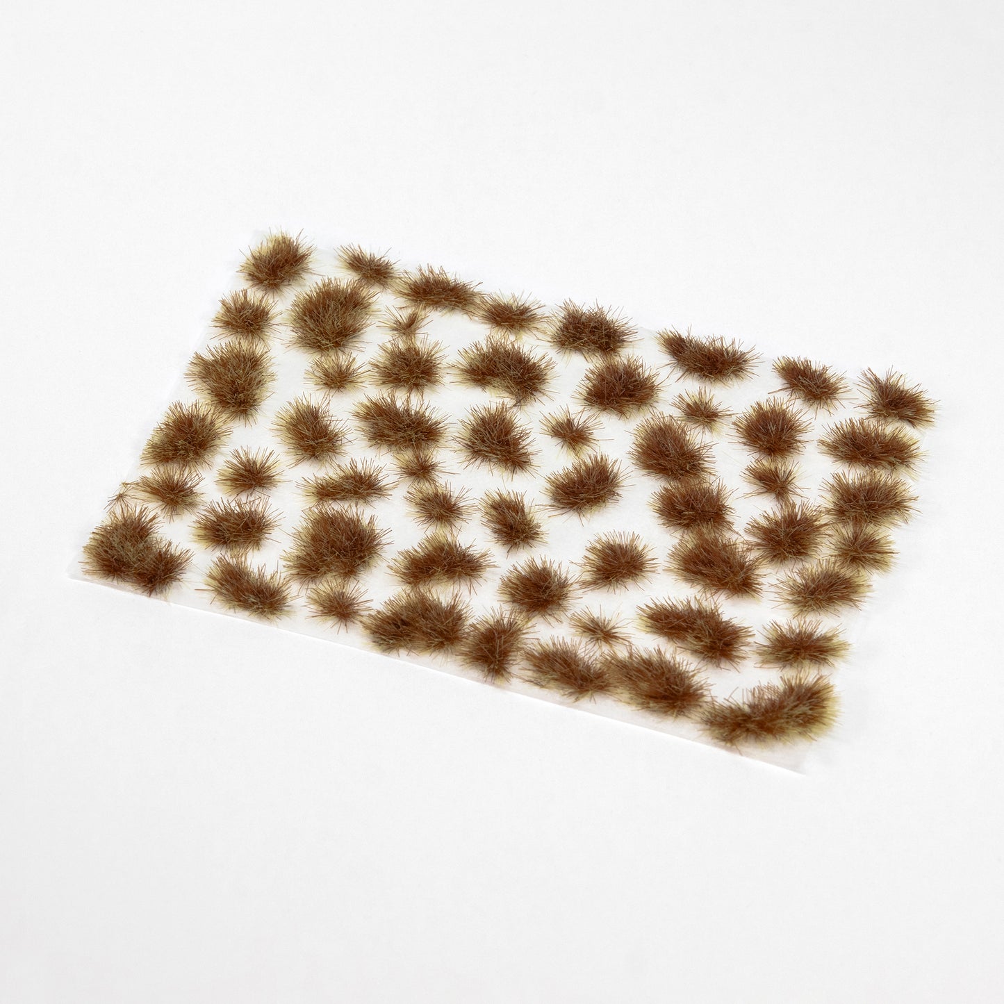 Dawn Harvest – Tufts