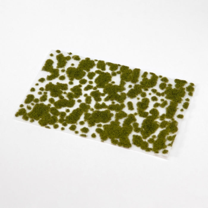 Velvet Zest – Moss Pads