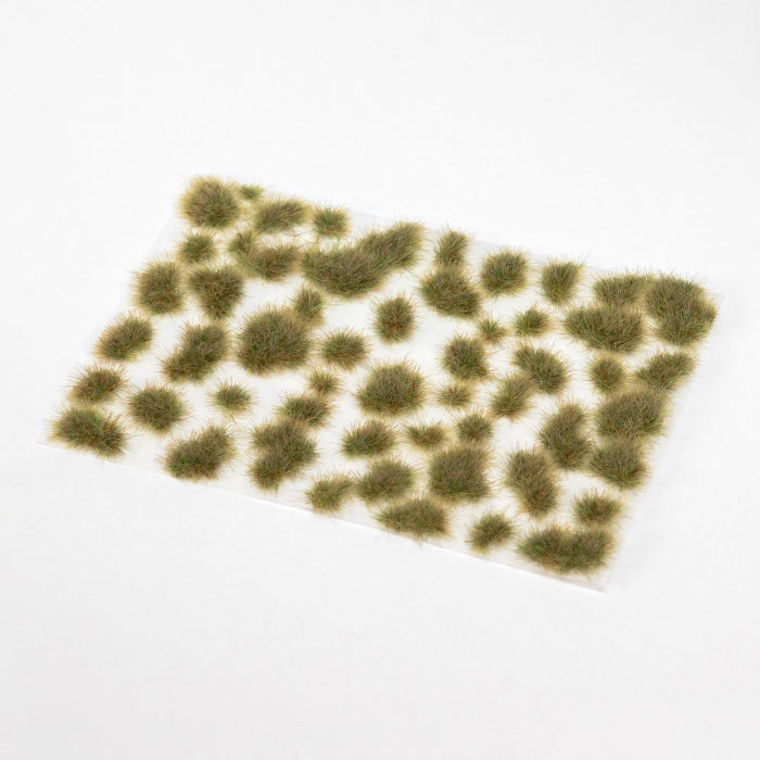 Firstlight Evergold – Tufts