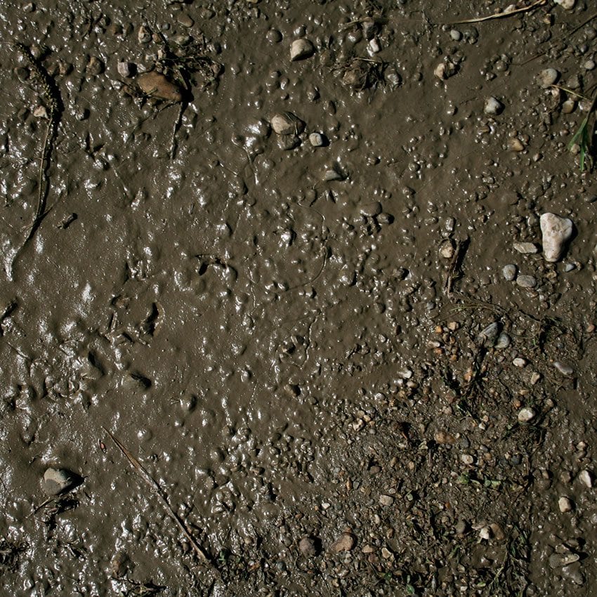 AK - Terrains Wet Ground