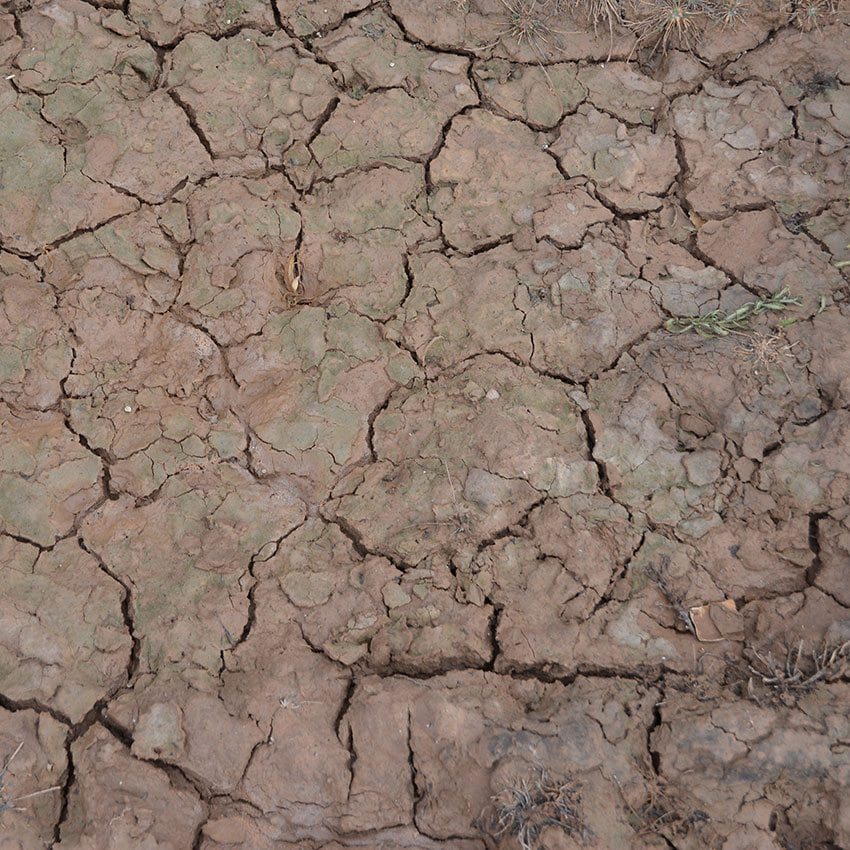 AK - Wet Crackle Effects