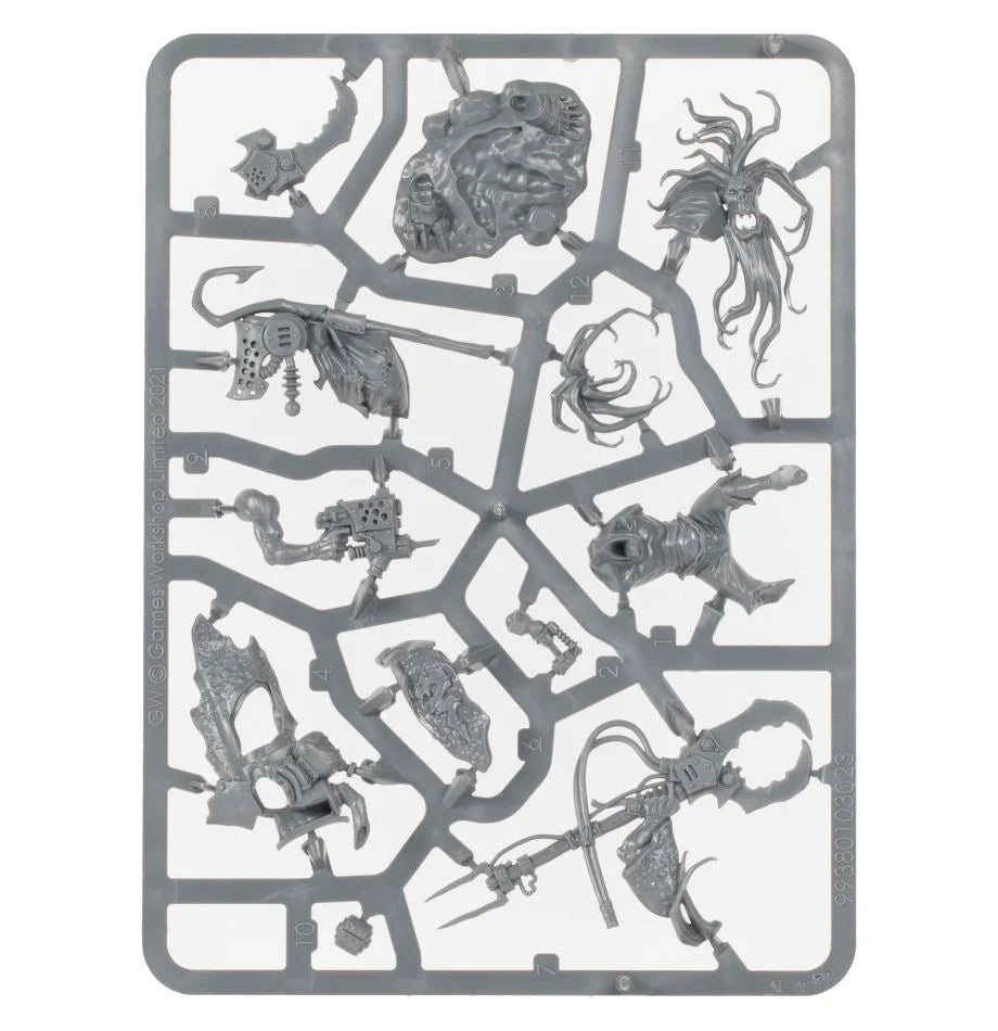 Zodgrod Wortsnagga