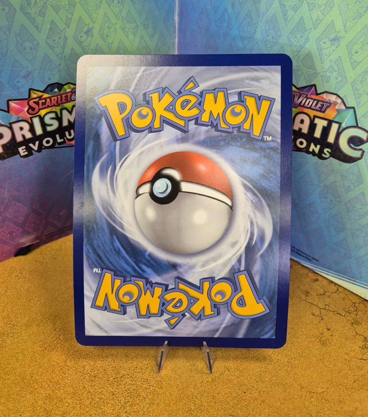 Venusaur EX XY123 JUMBO Black Star Promo Single Pokémon Card