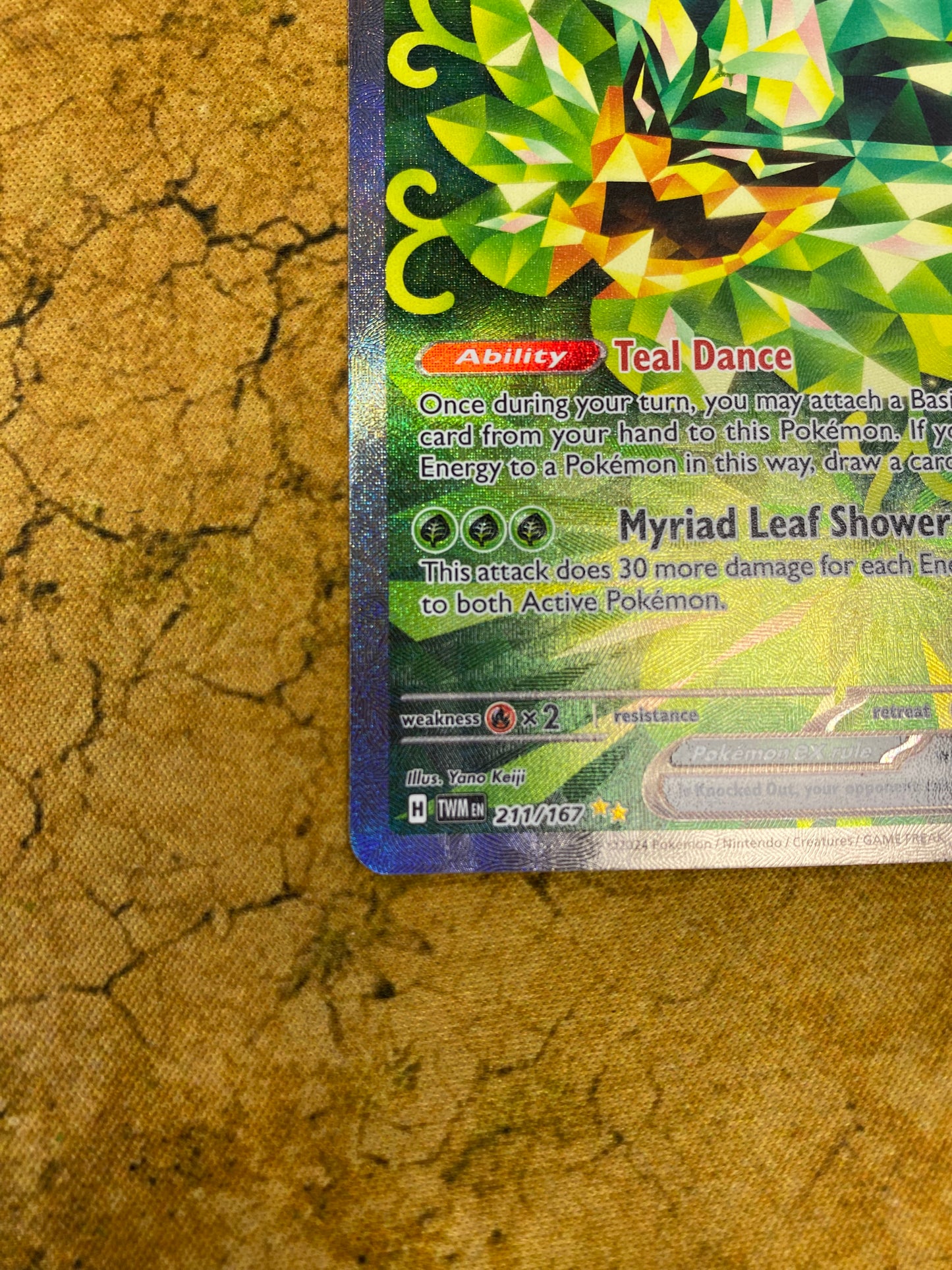Teal Mask Ogerpon EX Special Illustration Rare 211/167 Twilight Masquerade Single Pokemon Card