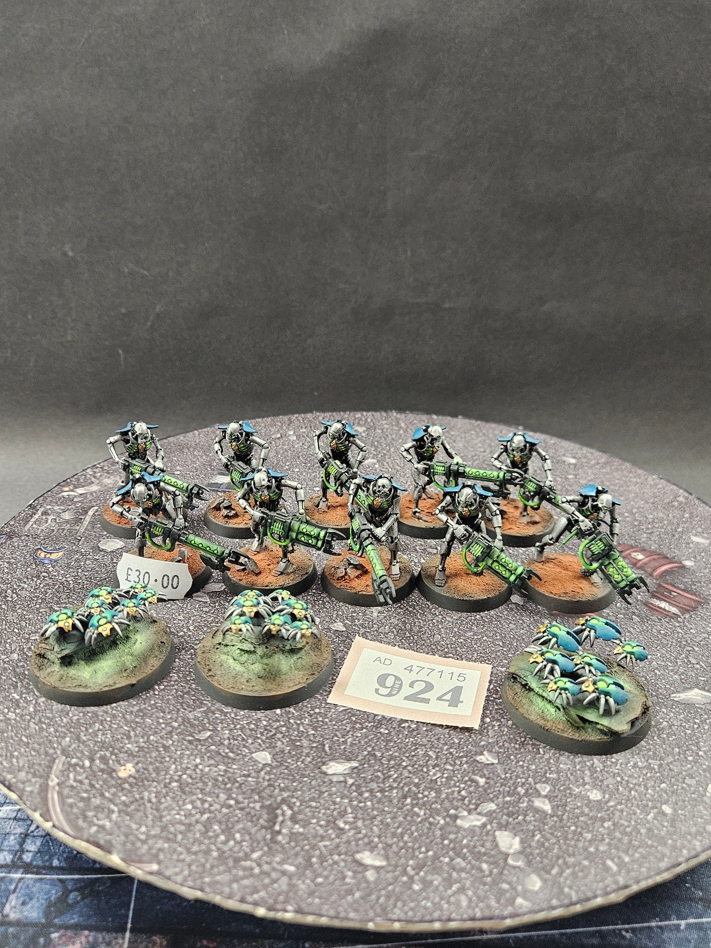 10x Warriors + 3x Scarabs #924 VERY Well Painted Necrons Warhammer 40k