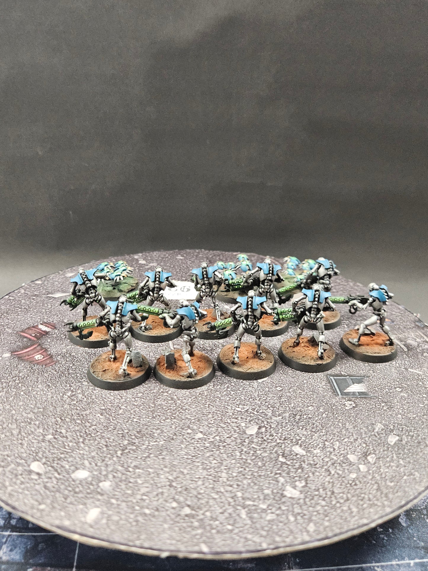 10x Warriors + 3x Scarabs #924 VERY Well Painted Necrons Warhammer 40k