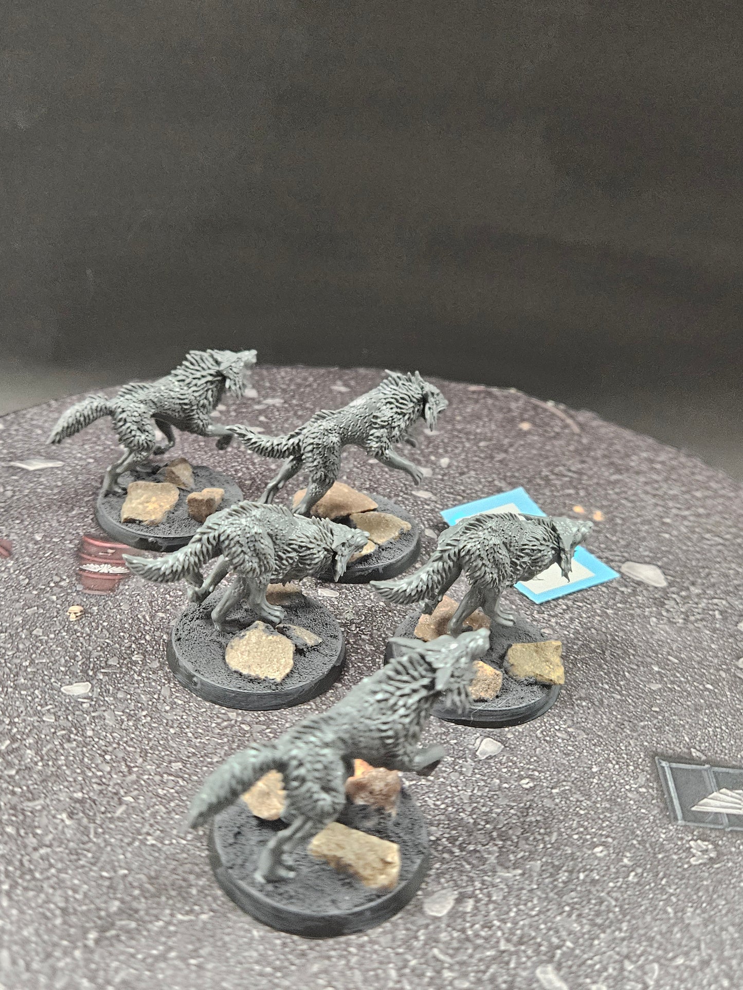 5x Fenrisian Wolves #49 Space Wolves Space Marines Warhammer 40k
