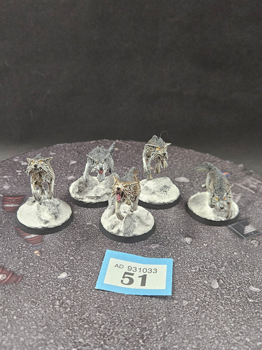 5x Fenrisian Wolves #51 Very Well Painted Space Wolves Space Marines Warhammer 40k