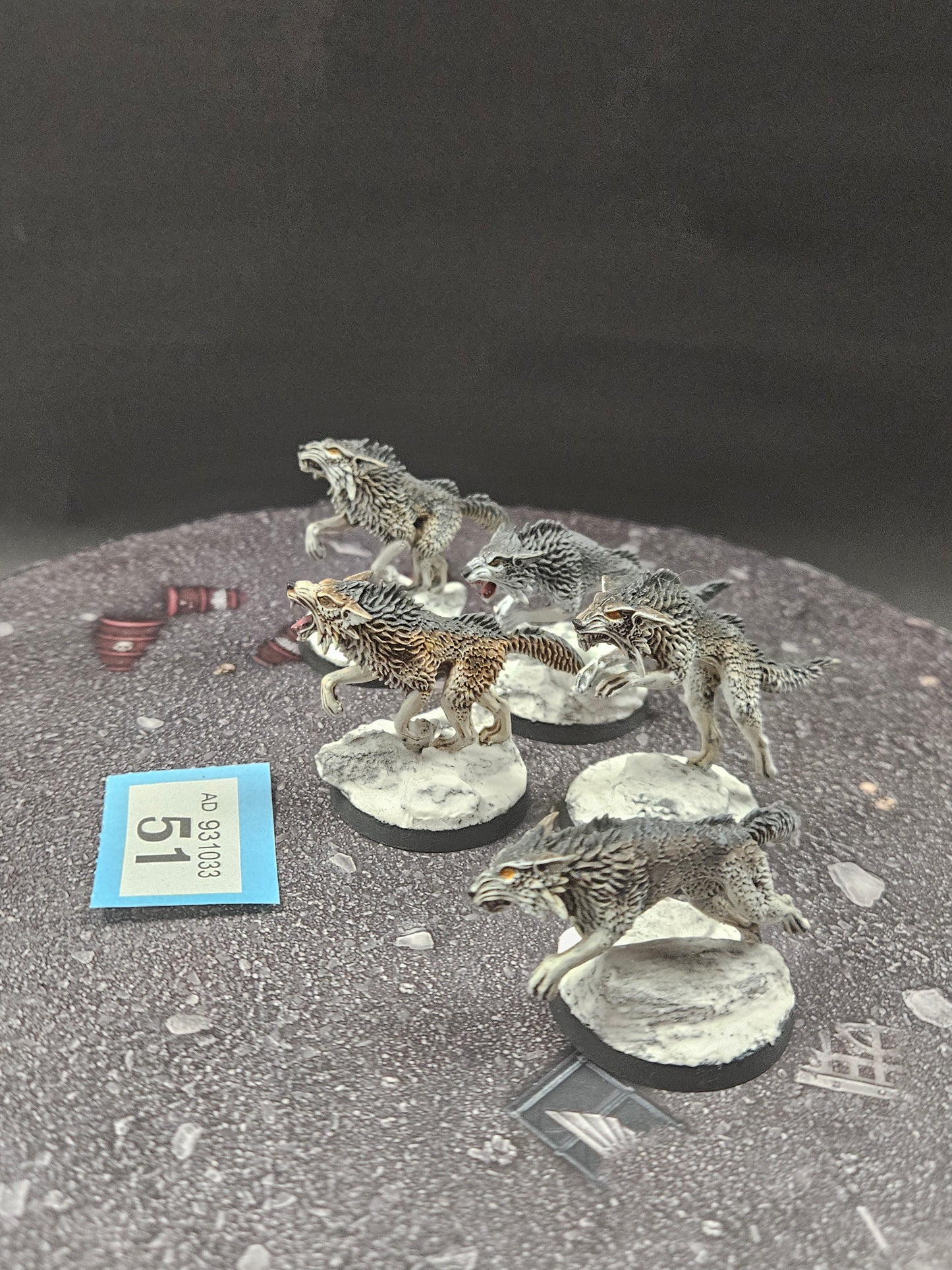 5x Fenrisian Wolves #51 Very Well Painted Space Wolves Space Marines Warhammer 40k