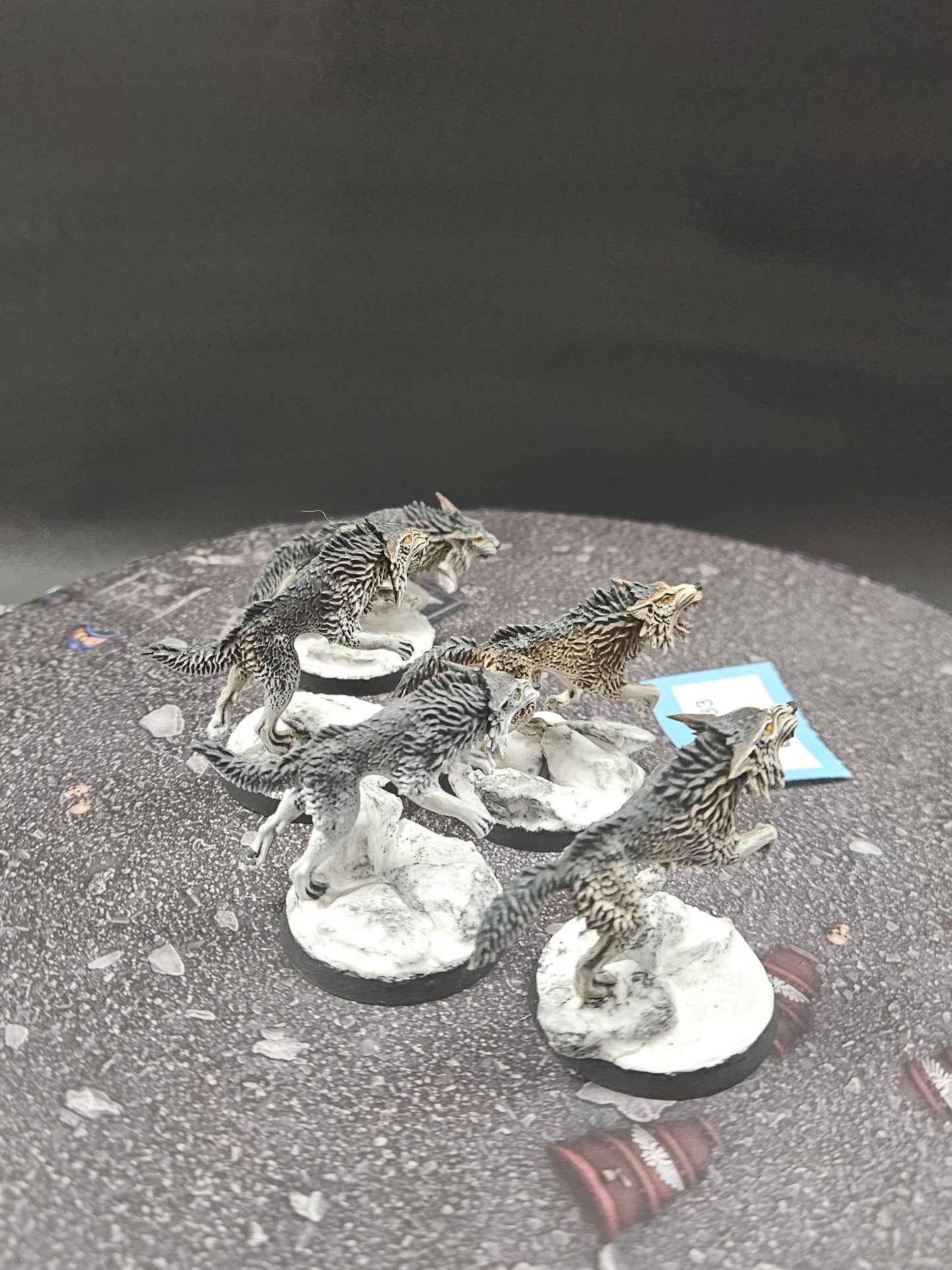 5x Fenrisian Wolves #51 Very Well Painted Space Wolves Space Marines Warhammer 40k