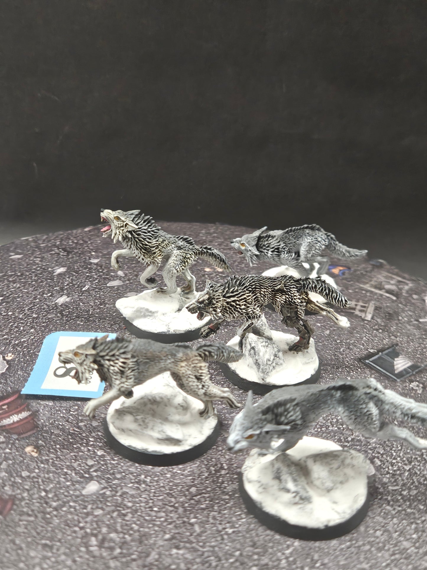 5x Fenrisian Wolves #58 Very Well Painted  Space Wolves Space Marines Warhammer 40k