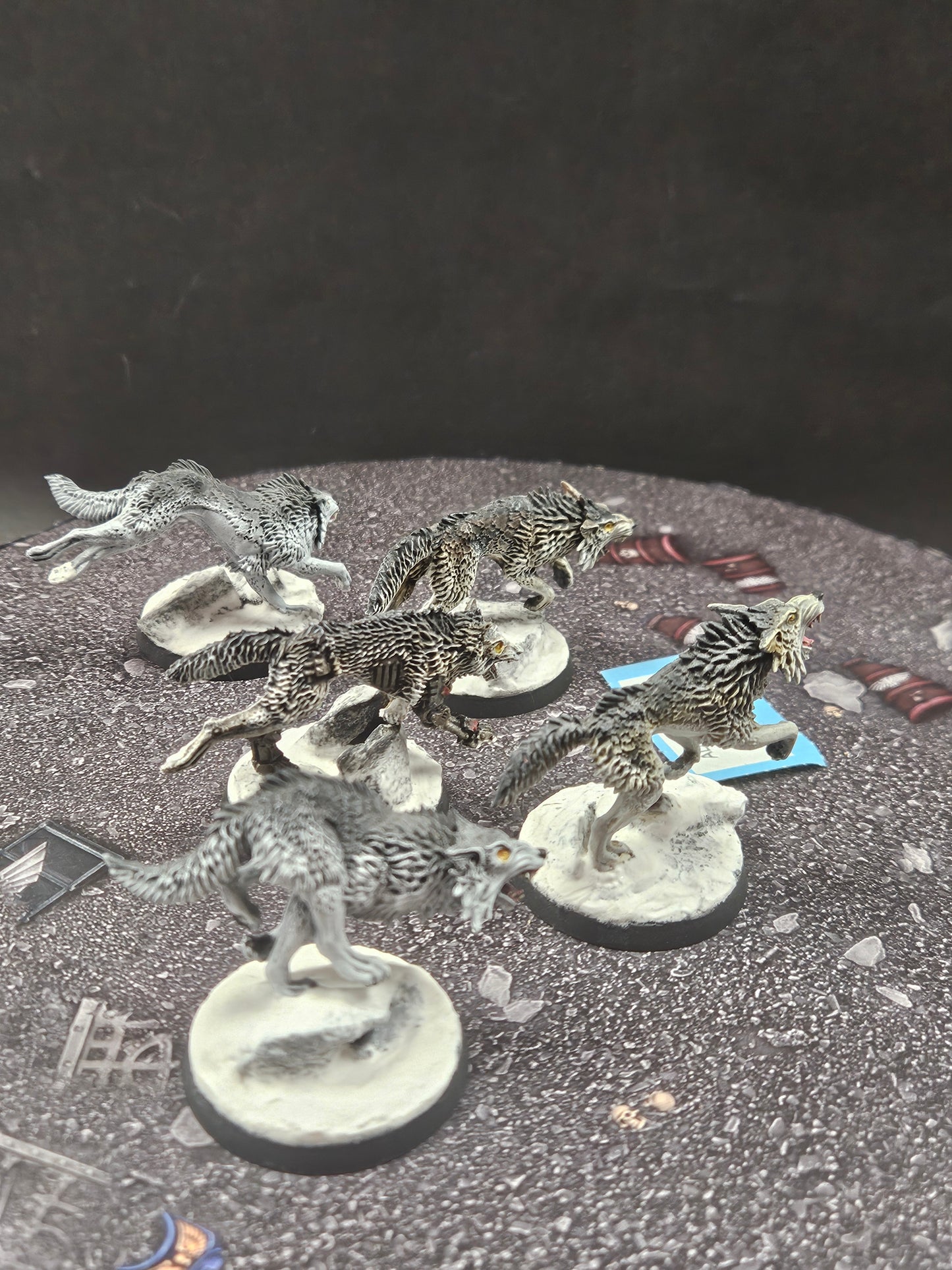 5x Fenrisian Wolves #58 Very Well Painted  Space Wolves Space Marines Warhammer 40k