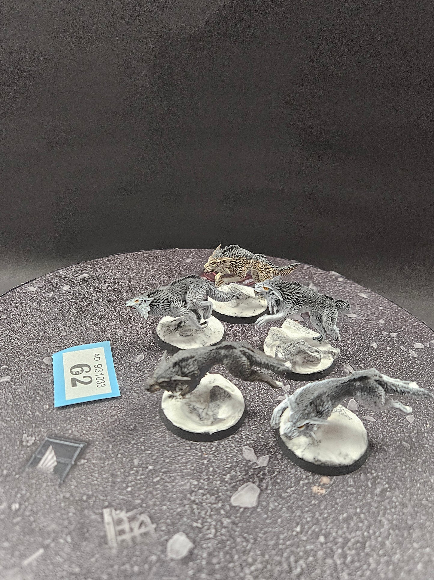 5x Fenrisian Wolves #62 Very Well Painted Space Wolves Space Marines Warhammer 40k