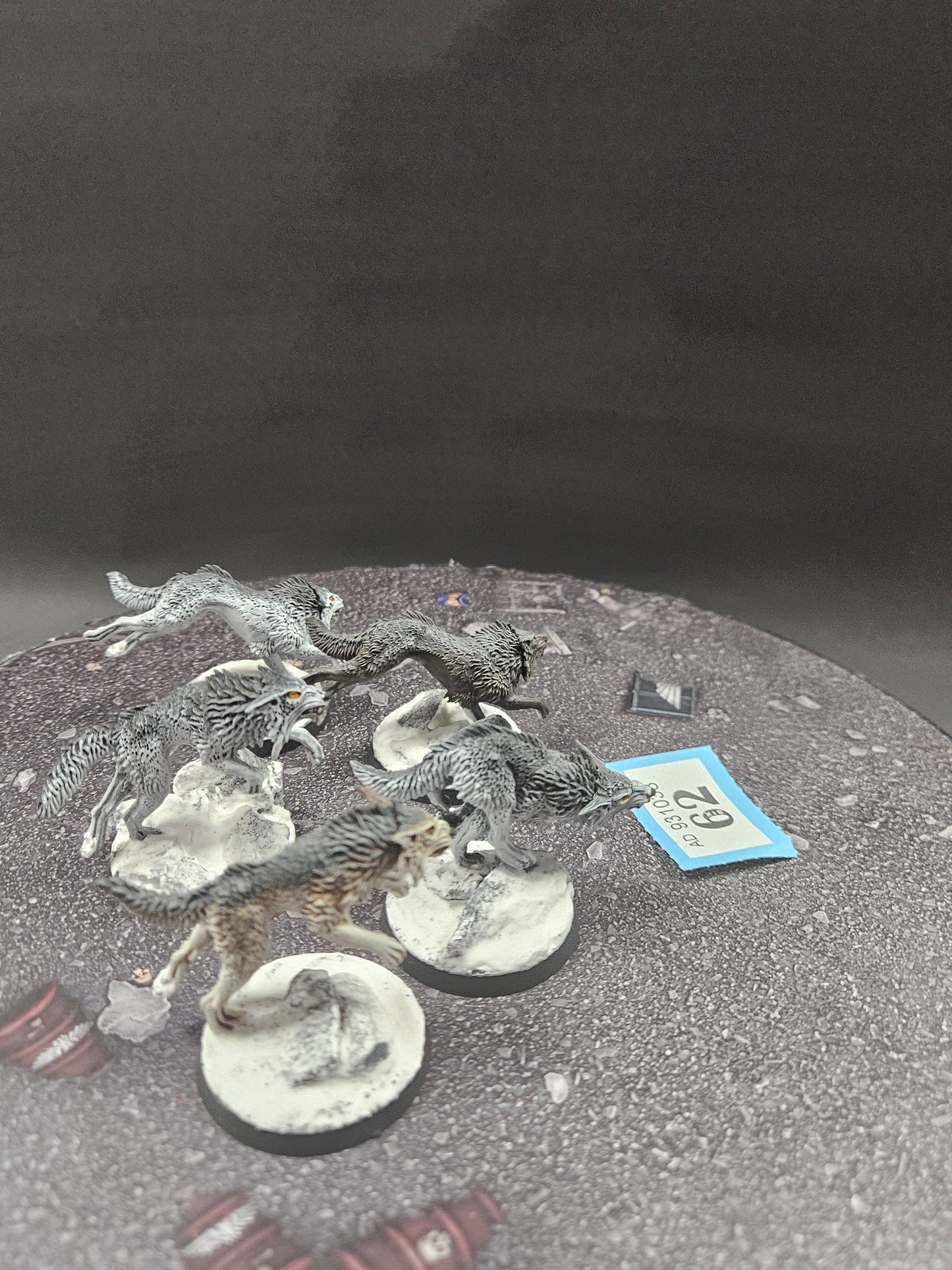 5x Fenrisian Wolves #62 Very Well Painted Space Wolves Space Marines Warhammer 40k