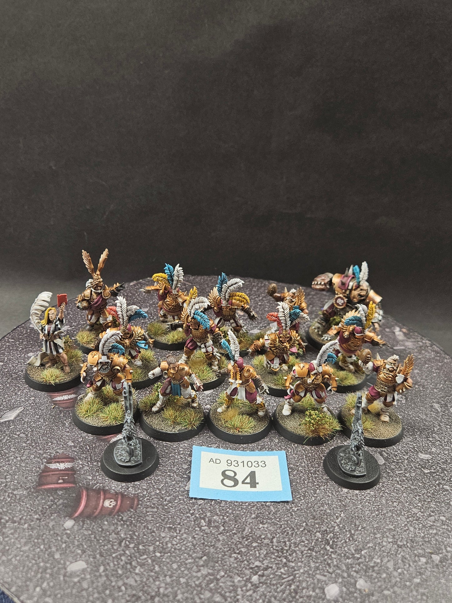 15x Imperial Nobility Blood Bowl Team #84 VERY Well Painted Blood Bowl Warhammer 40k