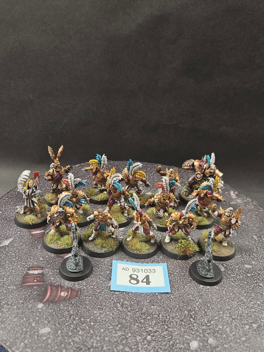 15x Imperial Nobility Blood Bowl Team #84 VERY Well Painted Blood Bowl Warhammer 40k