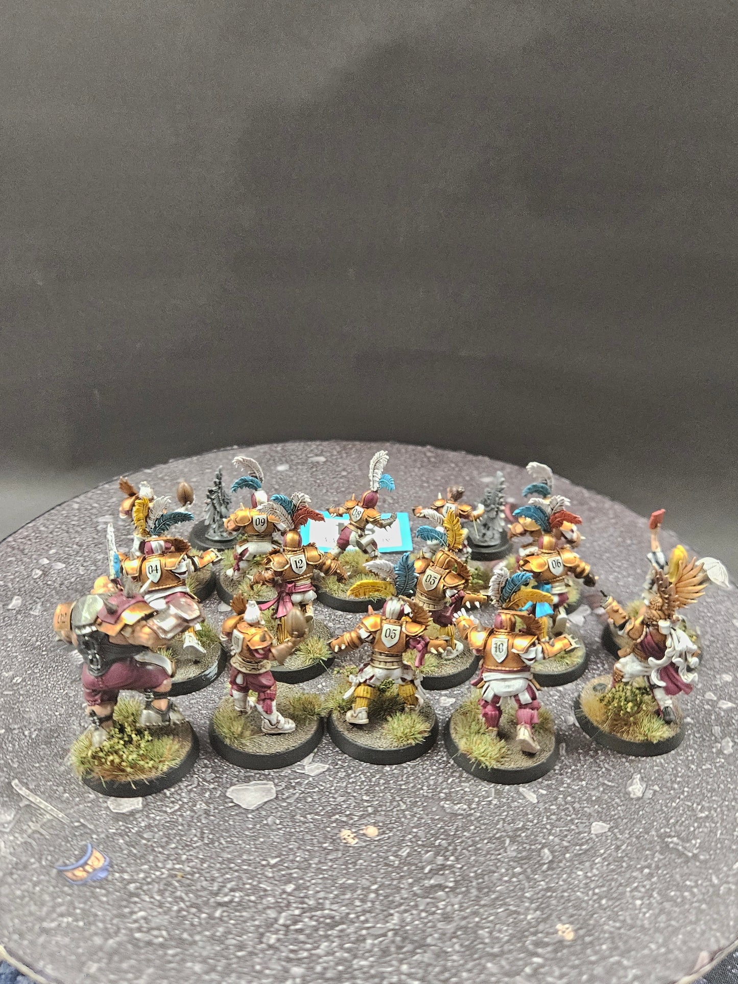 15x Imperial Nobility Blood Bowl Team #84 VERY Well Painted Blood Bowl Warhammer 40k