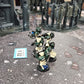 5x Dark Angels Devastators Squad #132 Space Marines Warhammer 40k