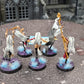 5x Witch Aelves #244 Daughters of Khaine AOS Warhammer 40k