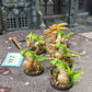 5x Saurus Warriors #246 Well Painted Seraphon AOS Warhammer 40k