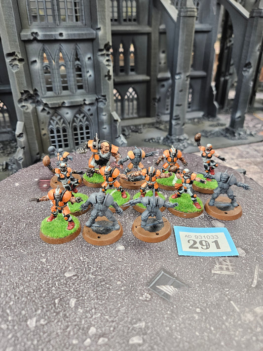13x Human Blood Bowl Team #291 Blood Bowl Warhammer 40k