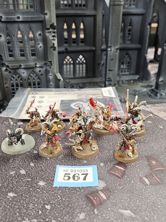 8x Untamed Beasts #567 Warcry Well Painted AOS Warhammer 40k