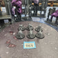 6x Gryph Hounds #961 Stormcast Eternals AOS Warhammer 40k