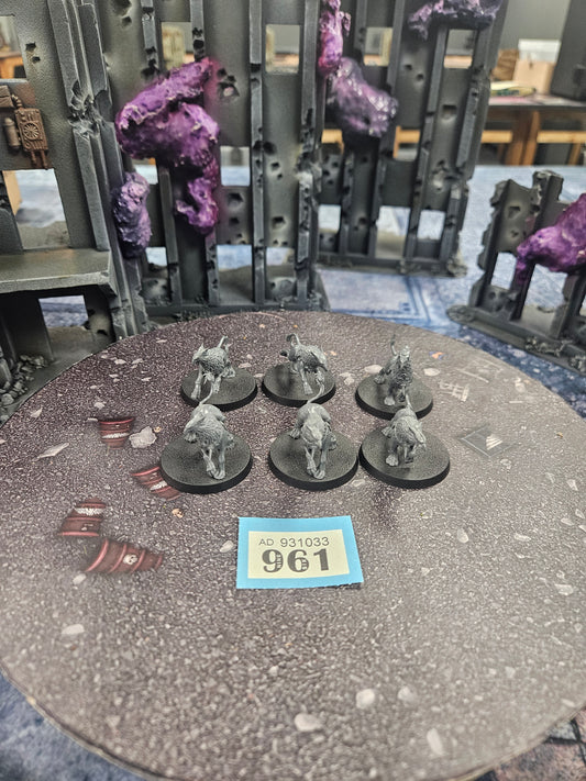 6x Gryph Hounds #961 Stormcast Eternals AOS Warhammer 40k