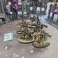 5x Wild Riders #971 Wood Elves Old World Fantasy Warhammer 40k
