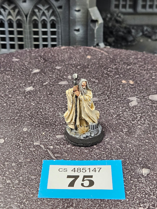 Saruman #75 Evil MESBG LOTR Warhammer 40k