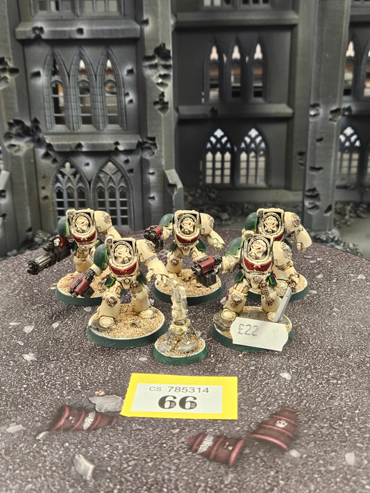 * 5x Primaris Terminators #66 Space Marines Warhammer 40k
