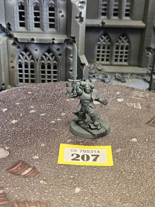 Emperor's Champion Black templars #207 Space Marines Warhammer 40k