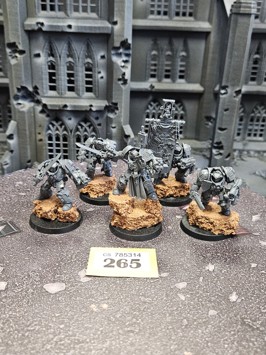 * 5x Paladins Squad #265 Grey Knights Space Marines Warhammer 40k