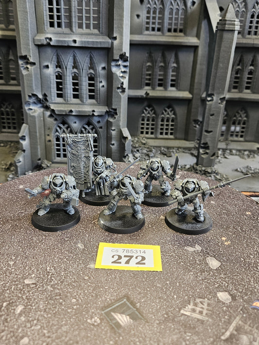 * 5x Paladins #272 Space Marines Warhammer 40k