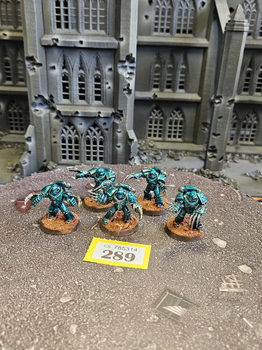* 5x Tactical Assault Marines #289 Space Marines Warhammer 40k 30k