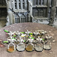 * 10x Warriors + Scarab Swarms OOP #360 Necrons Warhammer 40k