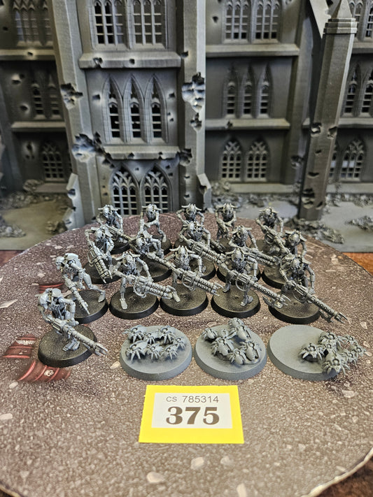 16x Warriors + Scarab Swarms #375 Necrons Warhammer 40k