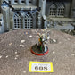 Primaris Apothecary #608 Space Marines Warhammer 40k