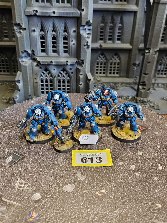 * 5x Primaris Terminators #613 Space Marines Warhammer 40k