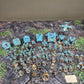 Large Primaris Ultramarines Army Space Marines Warhammer 40k