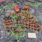 Primaris Blood Angels Army Space Marines Warhammer 40k